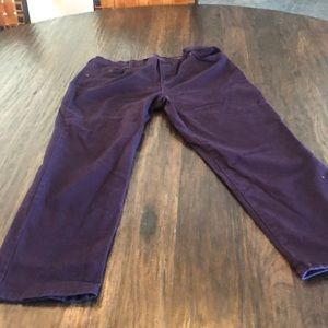 Gloria Vanderbilt Amanda Purple Pants